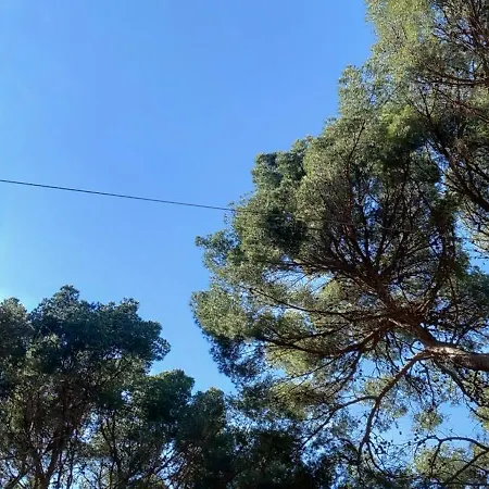 アパート Le Paradis C'est Ici シス・フール・レ・プラージュ