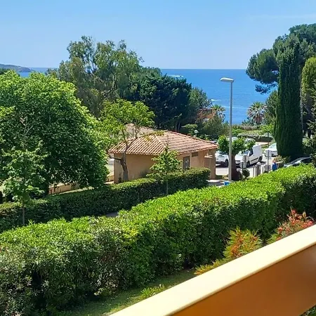 Le Paradis C'est Ici *